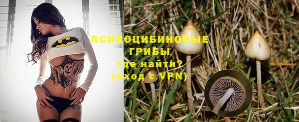 ГАЛЛЮЦИНОГЕННЫЕ ГРИБЫ Володарск
