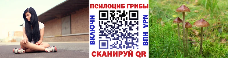 Галлюциногенные грибы Magic Shrooms  где найти наркотики  Березники 